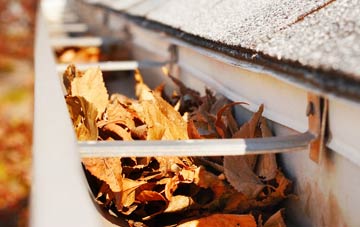 Eastnor gutter cleaning companies