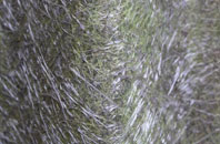 Eastnor fibreglass roof work